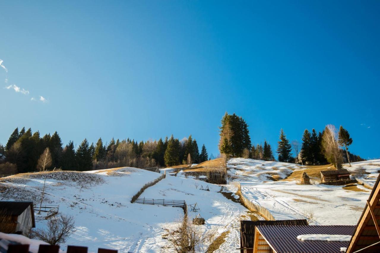 Vila Moecel Moeciu De Sus Exteriér fotografie
