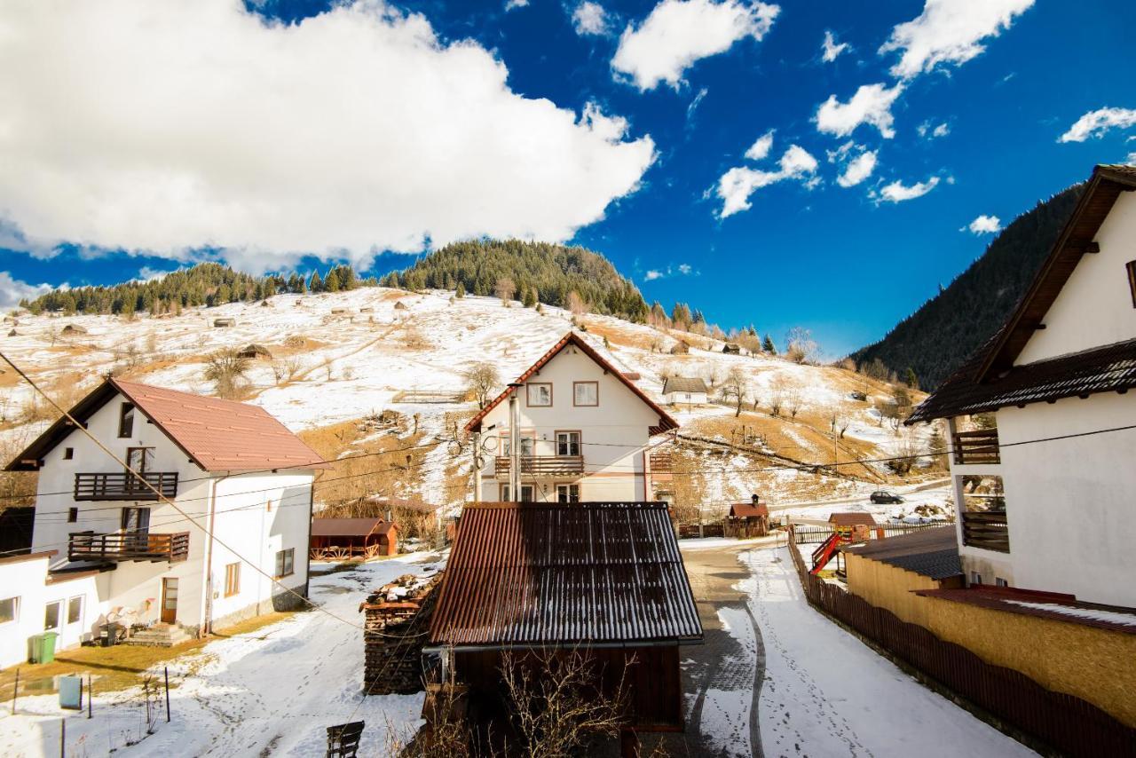 Vila Moecel Moeciu De Sus Exteriér fotografie